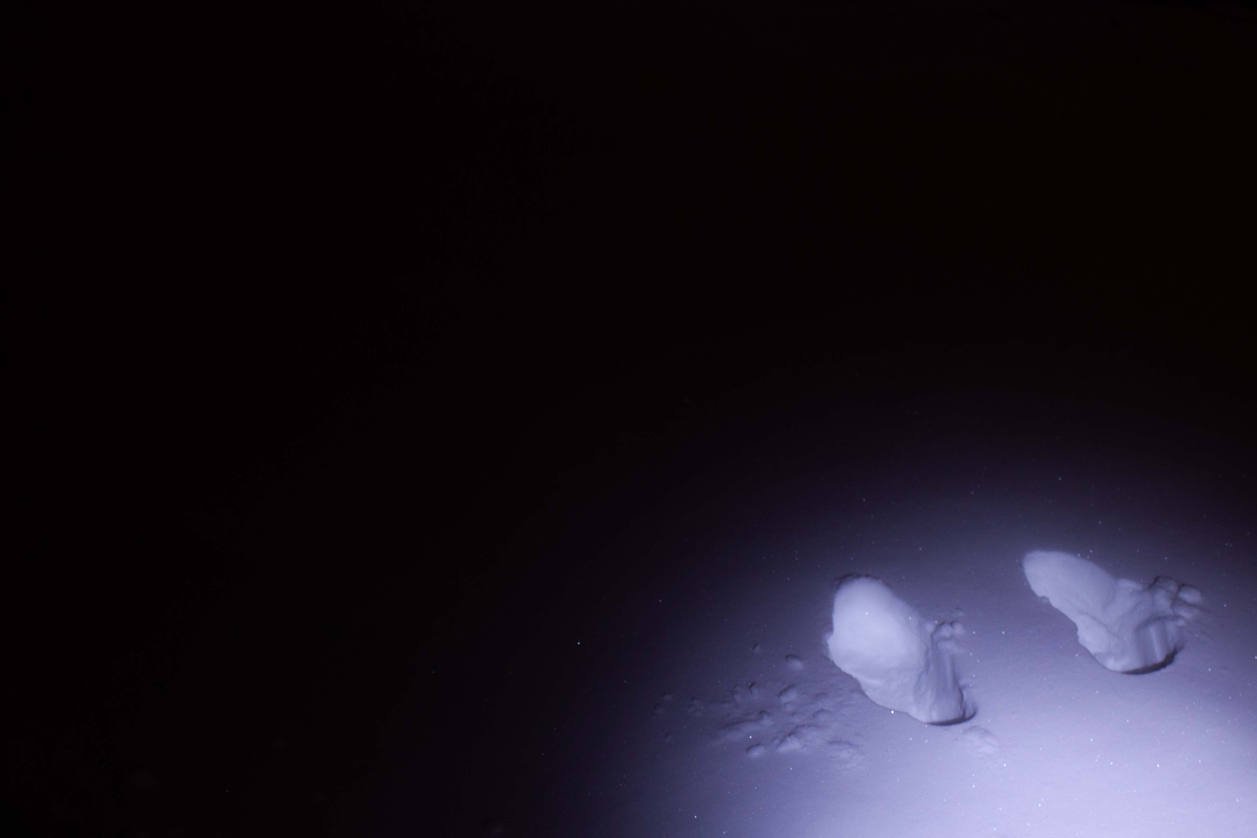 dimly lit snowy footsteps
