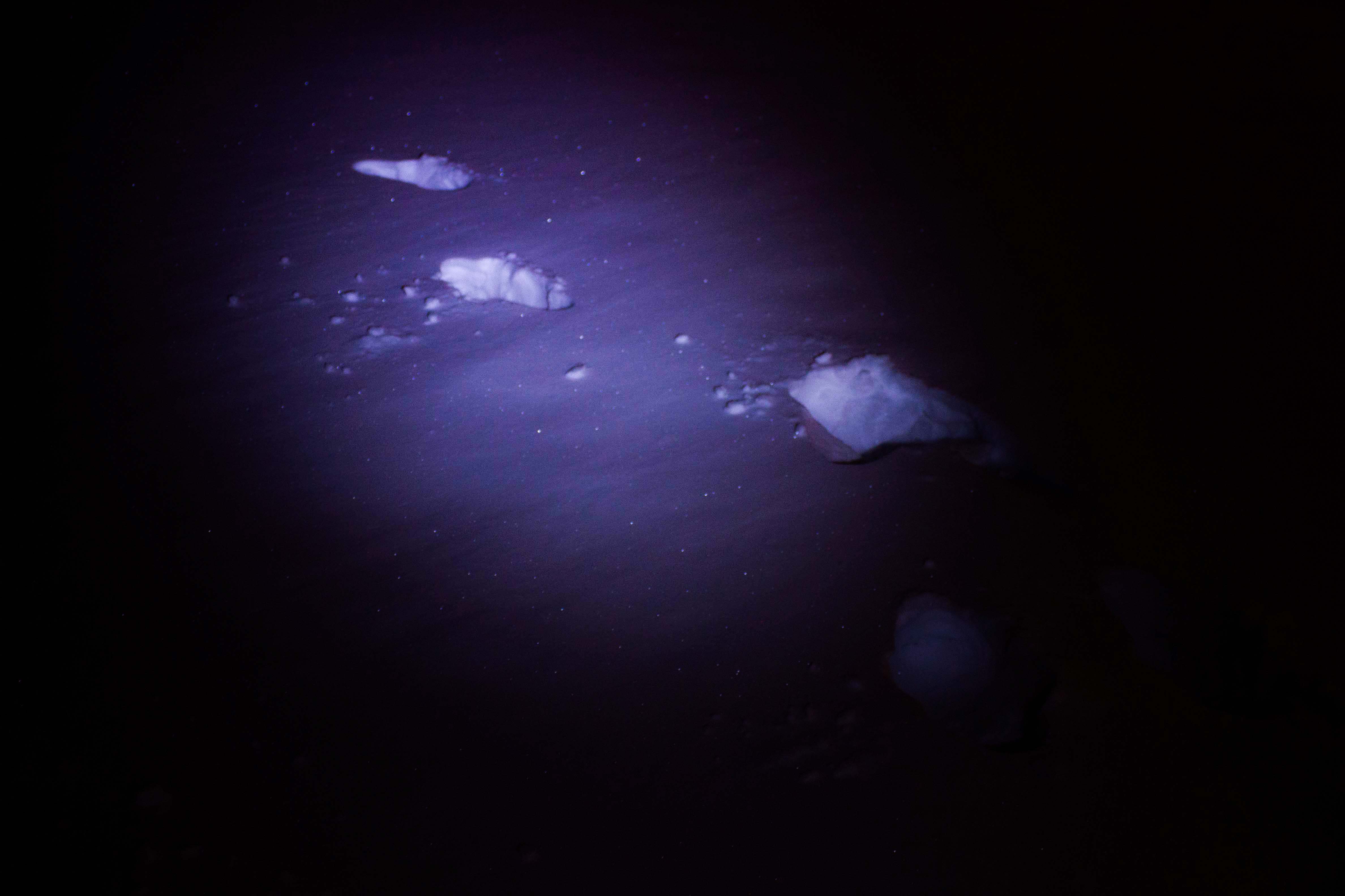 dimly lit, more snowy footsteps