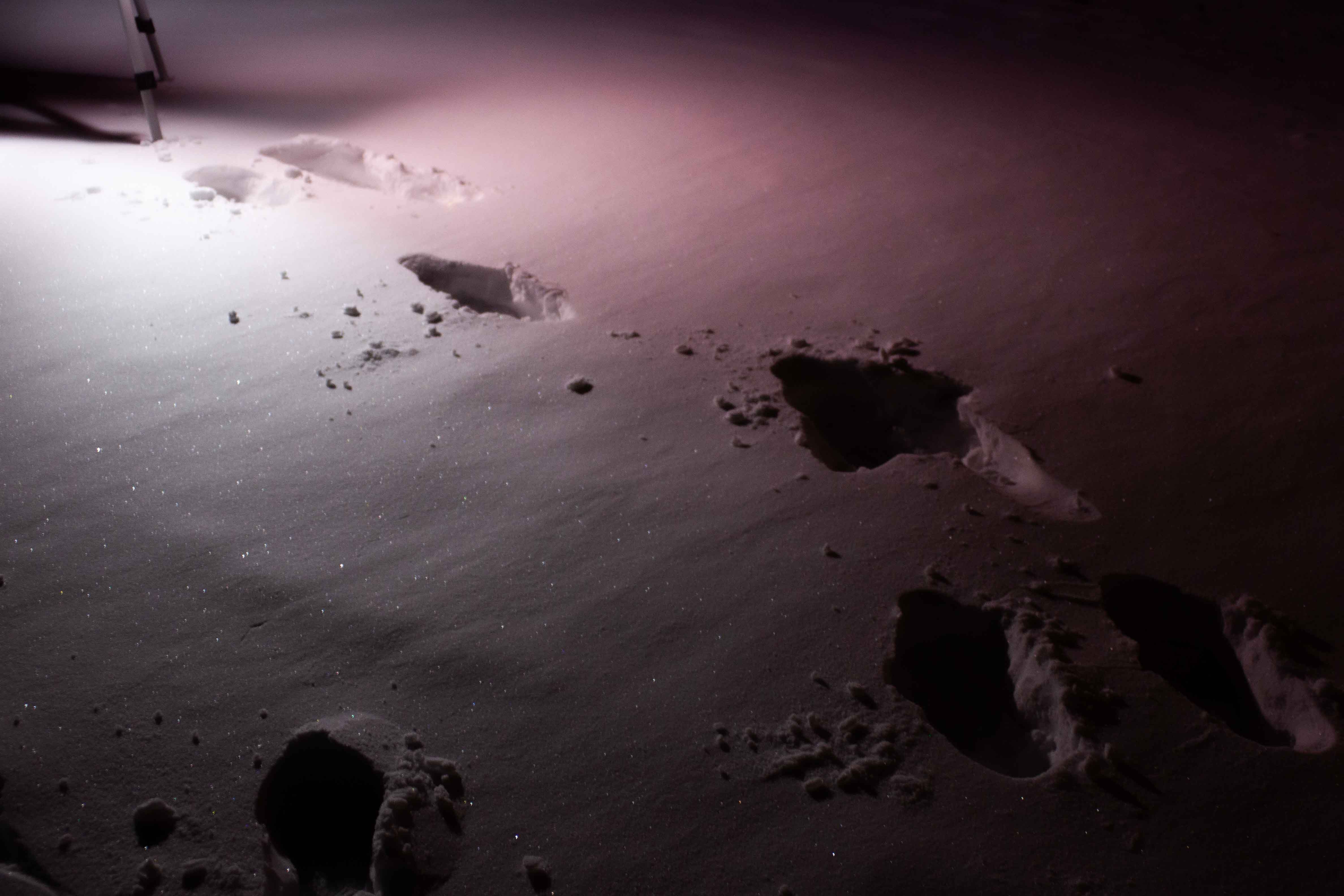 brighter scene, more snowy footsteps with tripod