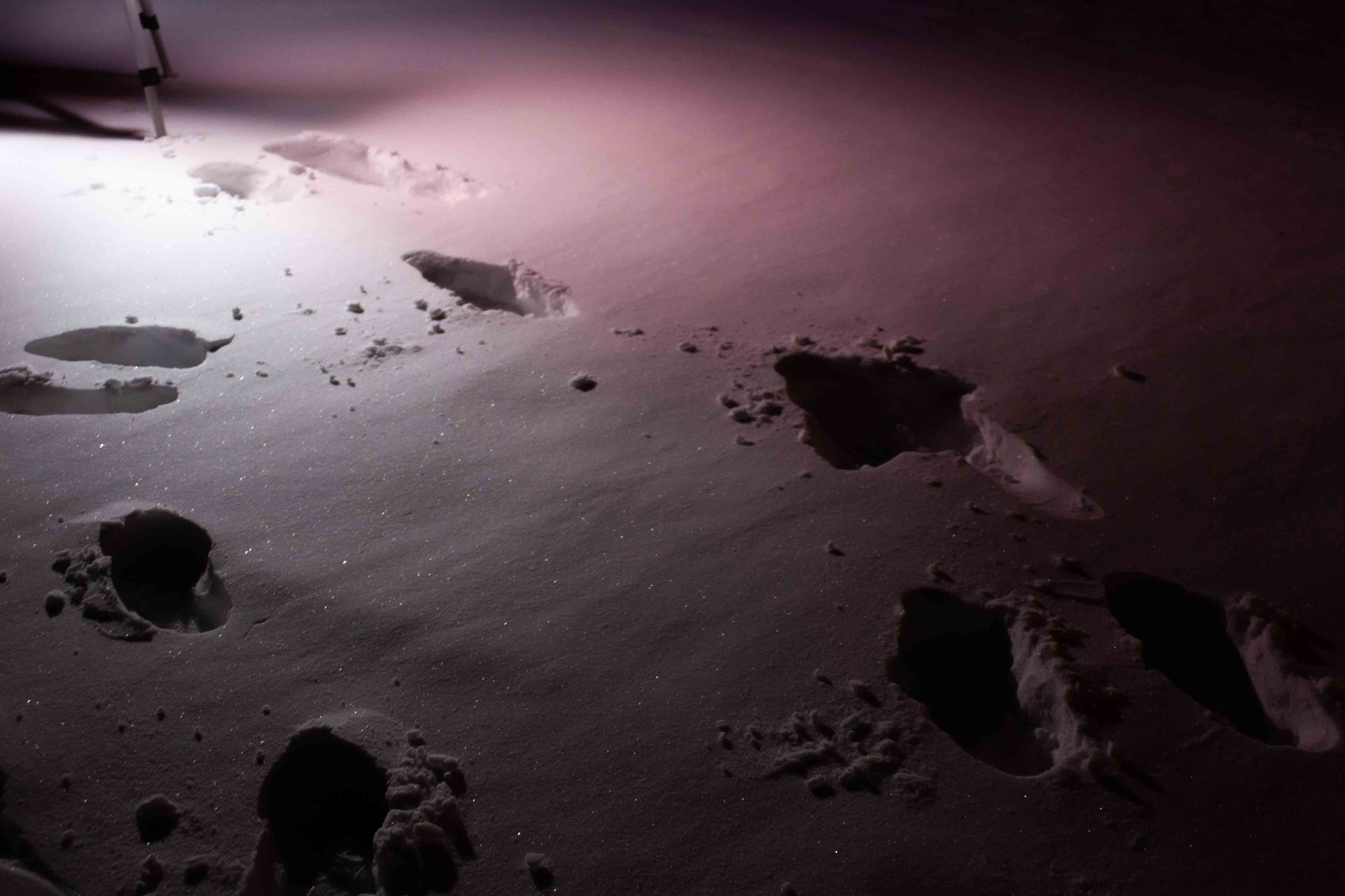 brighter scene, more snowy footsteps with tripod