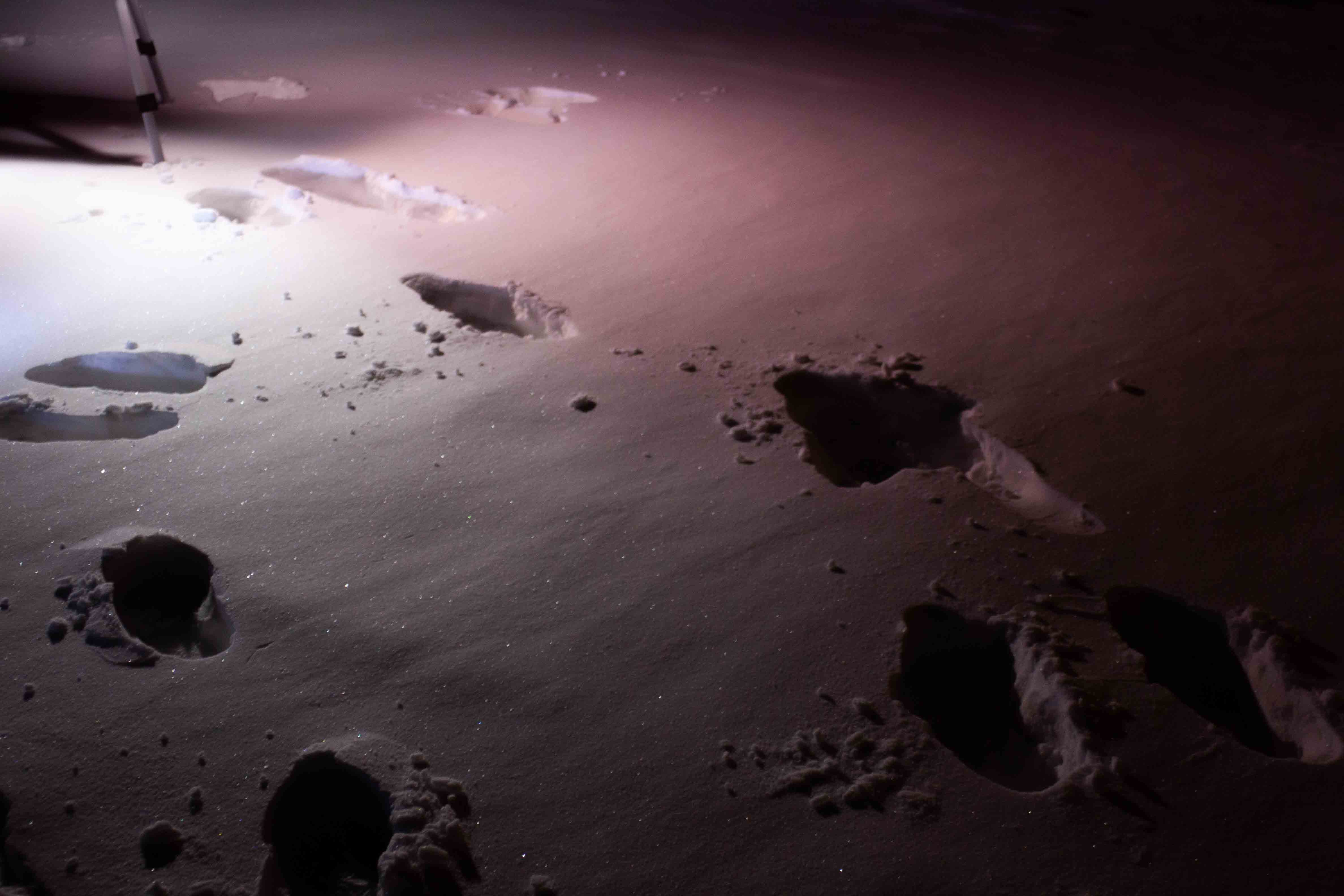 brighter scene, more snowy footsteps with tripod